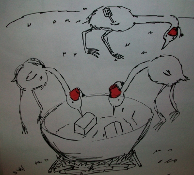 Cooperbirds.jpg (101361 bytes)