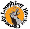 LHnewLogo1smm.jpg (4951 bytes)