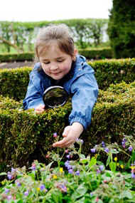 gardendetectives.jpg (54577 bytes)
